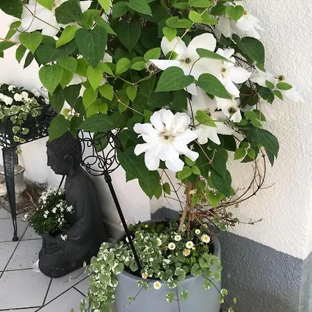 Apartamento Gemuetlichkeit Bensheim