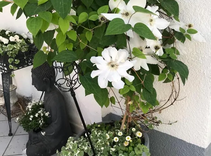 Apartman Gemuetlichkeit Bensheim